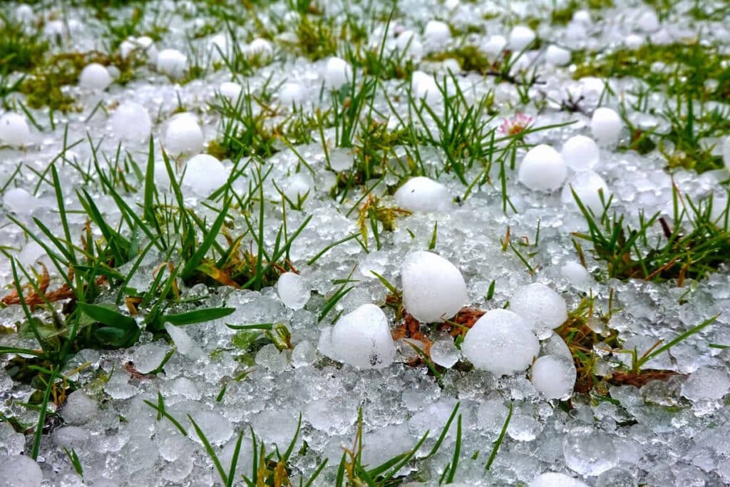 hail damage siding hailstones