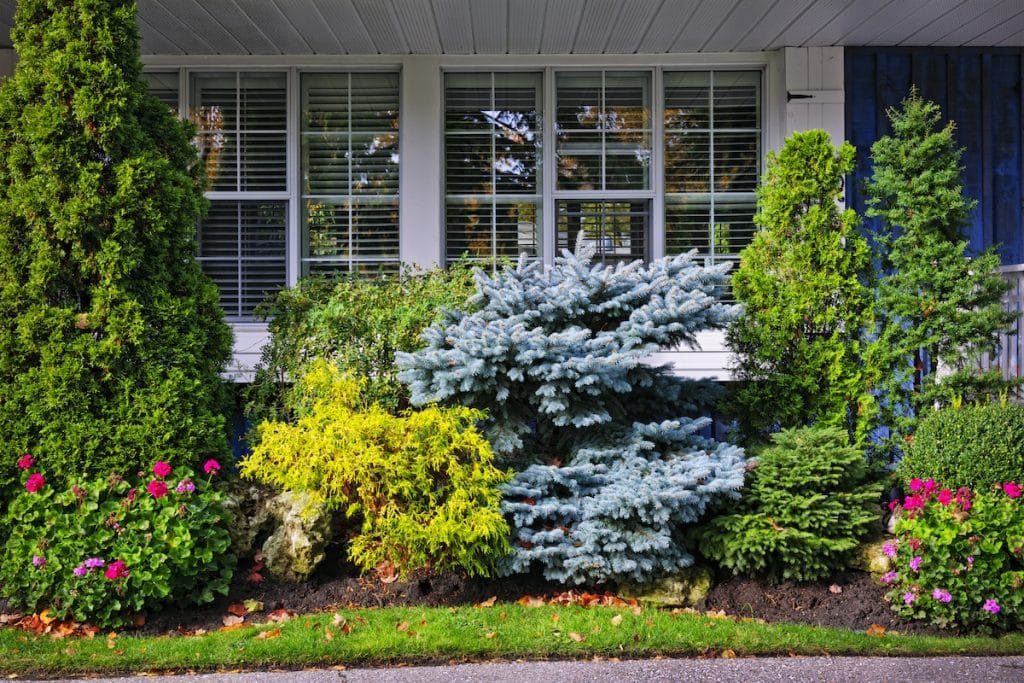 vinyl windows bushes in front of house windows